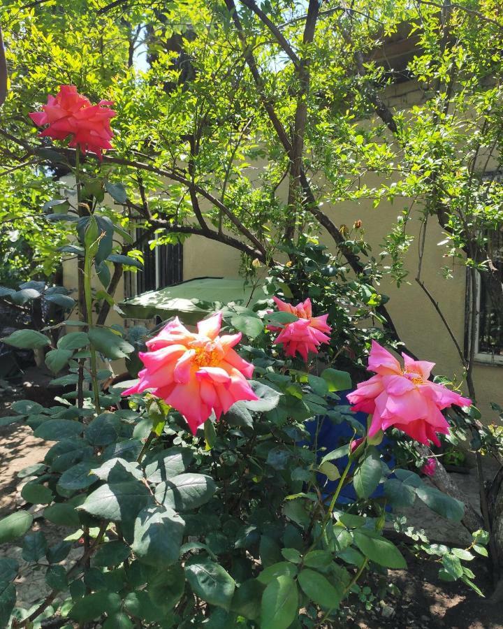 Guesthouse Ttt Tbilisi Buitenkant foto